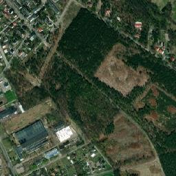Satelita