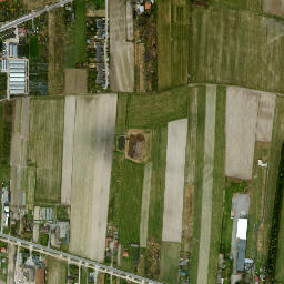 Satelita