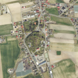 Czermin map(satellite map)