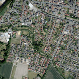 Beelen map(satellite map)