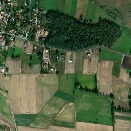Satelita