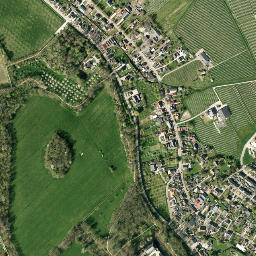 Zoelen map(satellite map)