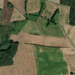 Satelita