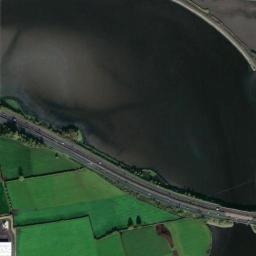 Satellite view of Fota Island Resort