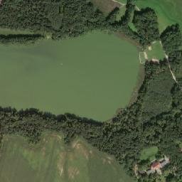 Satelita