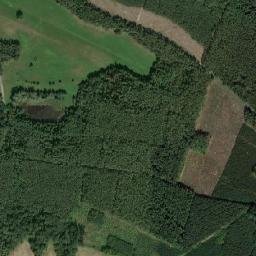 Satelita