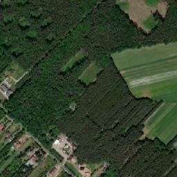 Powiat poddębicki map(satellite map)