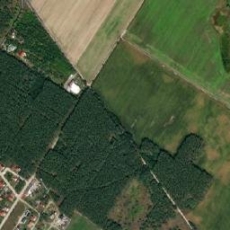 Satelita