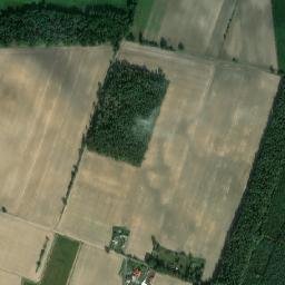 Satelita