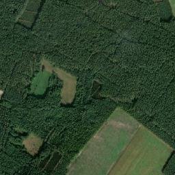 Satelita