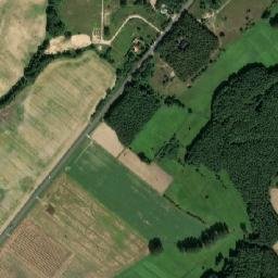 Satelita