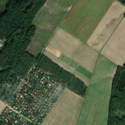 Satelita