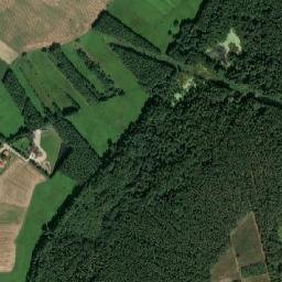 Satelita