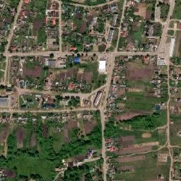 Novozhivotinnoye map(satellite map)