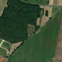 Satelita