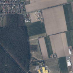 Satelita
