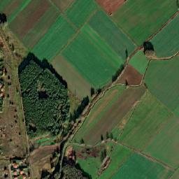 Powiat nowosolski map(satellite map)