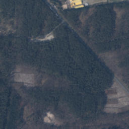 Satelita