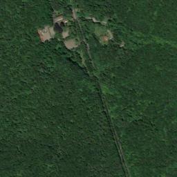 Satelita