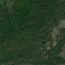 Lyel’chytski Rayon map(satellite map)