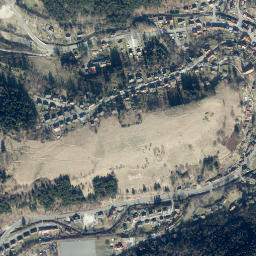 Wildemann map(satellite map)