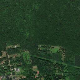 Satelita