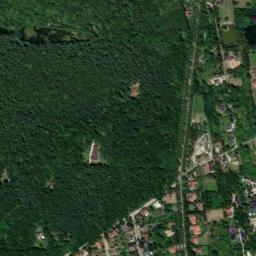 Satelita