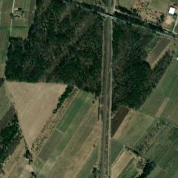 Satelita