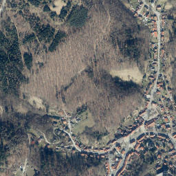Bad Grund map(satellite map)