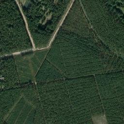 Satelita