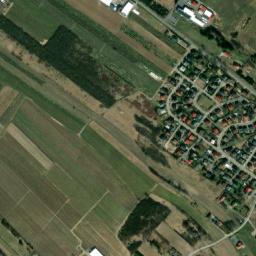 Satelita