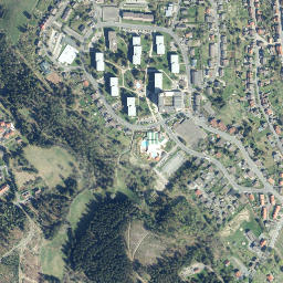 Altenau map(satellite map)