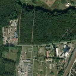 Satelita