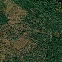 Lyubeshivs’kyy Rayon map(satellite map)