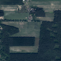 Satelita