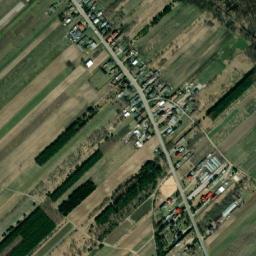 Satelita