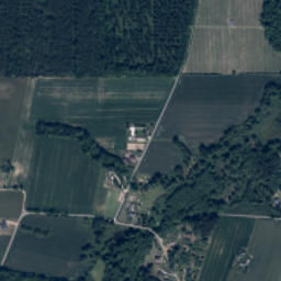 Satelita