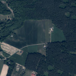 Satelita
