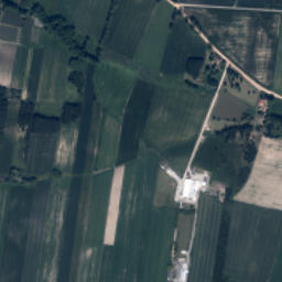 Satelita