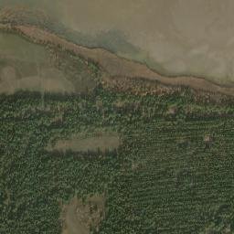 Mikhaylovskiy Rayon map(satellite map)