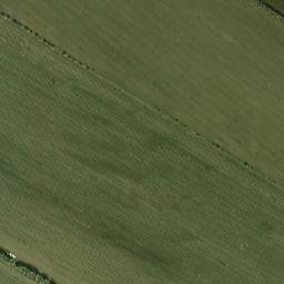 Yegor’yevskiy Rayon map(satellite map)