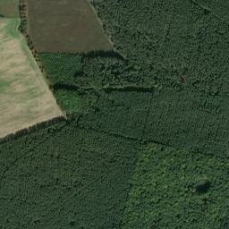 Crinitz map(satellite map)