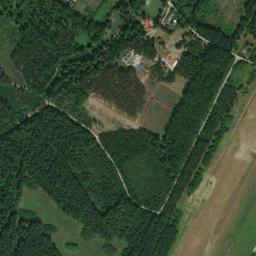 Satelita
