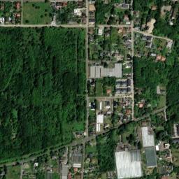 Satelita