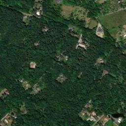 Satelita