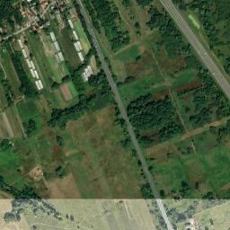 Satelita