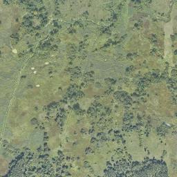 Satelita
