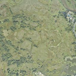 Satelita