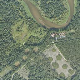 Satelita