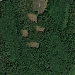 Powiat górowski map(satellite map)